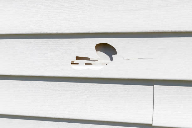 Best Custom Trim and Detailing for Siding  in Stevensville, MT