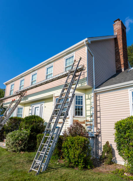 Best Storm Damage Siding Repair  in Stevensville, MT