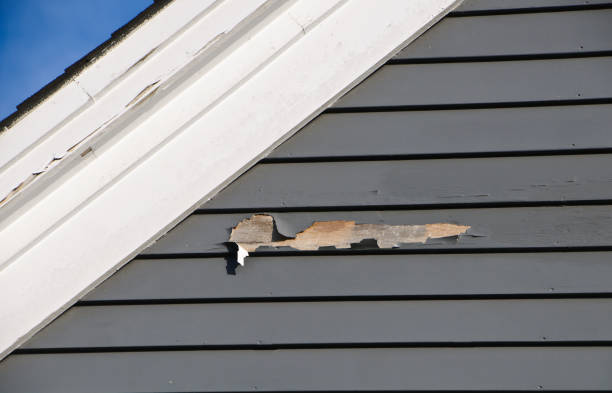 Best Storm Damage Siding Repair  in Stevensville, MT